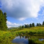 Релакс, разнотравье и маралы