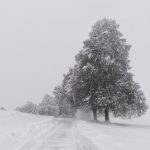 Штормовое предупреждение!