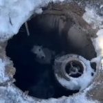 В Темиртау спасли щенка, упавшего в колодец