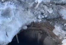 В Темиртау спасли щенка, упавшего в колодец