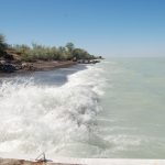 Аким Приозерска придерживает землю вдоль побережья озера Балхаш для инвесторов