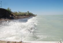 Аким Приозерска придерживает землю вдоль побережья озера Балхаш для инвесторов