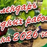 WhatsApp Image 2026-02-14 at 11.24.10