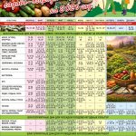 WhatsApp Image 2026-02-14 at 11.24.10 — копия