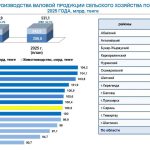 Цифровизация уже сегодня дает ощутимые результаты