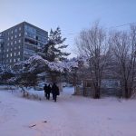 В Темиртау возник вопрос принципа: магазин или деревья?