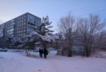 В Темиртау возник вопрос принципа: магазин или деревья?