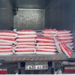 Эра милосердия