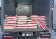 Эра милосердия