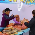 Сельскохозяйственная ярмарка пройдет в Караганде