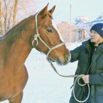 Ипподром для чемпионов: держаться в седле так же уверенно, как идти к своим целям