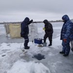 На озере Балхаш определяют популяцию водной фауны