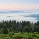 Информация о зонах отдыха Карагандинской области появится в Kaspi и Freedom Travel