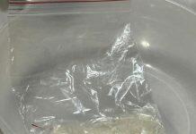 В Караганде служебная собака помогла обнаружить крупную партию психотропных веществ