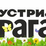 WhatsApp Image 2026-03-03 at 15.01.11