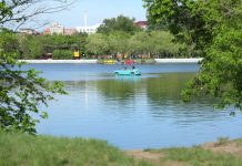 Рыба расплодилась: в парке Караганды хотят разрешить рыбалку