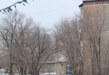 Жители города Абай посещают избирательные участки целыми «караванами»