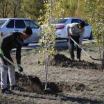 Дышите глубже: В Карагандинской области высадят деревья на площади 600 гектаров