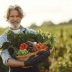 Всё в одном: чат-бот для отечественных фермеров