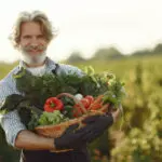 Всё в одном: чат-бот для отечественных фермеров