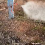 Шахтинцы могут летом спокойно гулять в футболках и не бояться комаров