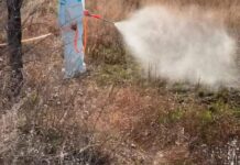 Шахтинцы могут летом спокойно гулять в футболках и не бояться комаров