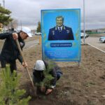 Сосны в честь героя