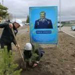 Сосны в честь героя