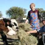 Сельскохозяйственную отрасль страны предстоит вывести на новый уровень