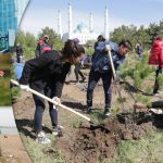 Новые подходы к экологии в одном проекте