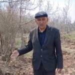 Карагандинцам пояснили, что в Центральном парке продолжается вырубка больных и старых деревьев