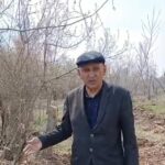 Карагандинцам пояснили, что в Центральном парке продолжается вырубка больных и старых деревьев