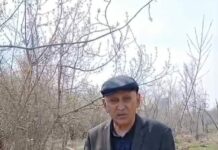 Карагандинцам пояснили, что в Центральном парке продолжается вырубка больных и старых деревьев