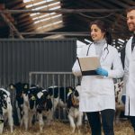 В течение двух лет в Карагандинской области будет установлено 140 модульных ветеринарных пунктов