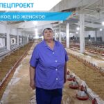 Каждый день среди тысячи птиц