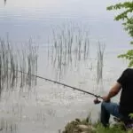 Нерест под контролем: в Карагандинской области вводят запреты для рыбаков