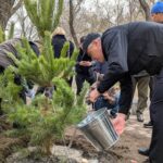 В Караганде стартовал сезон озеленения
