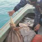 В Карагандинской области за неделю ОПМ «Нерест» выявлено 25 нарушений