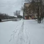 На работу вышли все, кроме уборочной техники