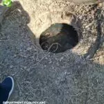 Экологи оштрафовали «дочку» «Казахмыса» за нарушения