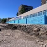 Тень уходит вместе с деревьями
