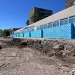 Тень уходит вместе с деревьями