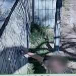 За наркограффити задержали жителя Балхаша
