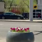 В Караганде высадят более 1,6 млн цветов: город готовится к масштабному озеленению