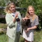 Спасатели Сарани сняли с дерева домашнего кота, который впервые попал на улицу