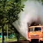 В Караганде борются с тополиным пухом водой