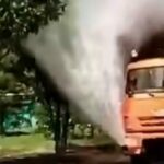 В Караганде борются с тополиным пухом водой