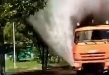 В Караганде борются с тополиным пухом водой