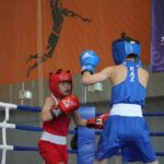 Бокс как шахматы: воспитать плеяду чемпионов