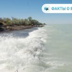 Наше море